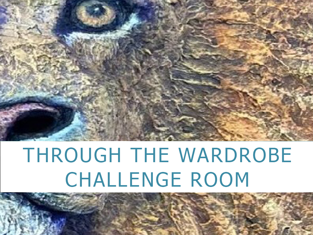 Through the wardrobe challenge room